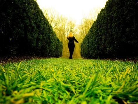 Photographic Print: Walking through Garden Maze Poster by Jan Lakey: 24x18in