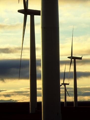 Photographic Print: Wind Turbines, Caithness, Scotland Poster by Iain Sarjeant: 24x18in