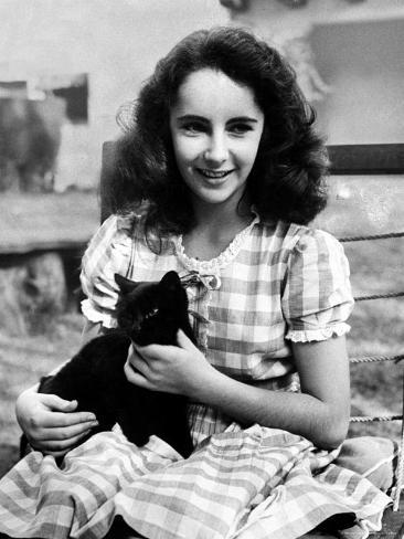 Premium Photographic Print: 13 Year Old Actress Elizabeth Taylor Outside, Holding One of Her Many Pets, a Black Cat Named Jill by Peter Stackpole: 24