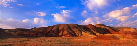 Photographic Print: Spring Bloom in Painted Hills National Monument, Oregon, USA by Terry Eggers: 24x8in