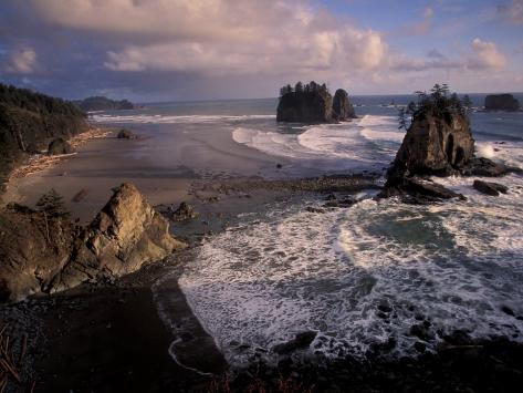 Photographic Print: Second Beach, Olympic National Park Poster by Art Wolfe: 12x9in