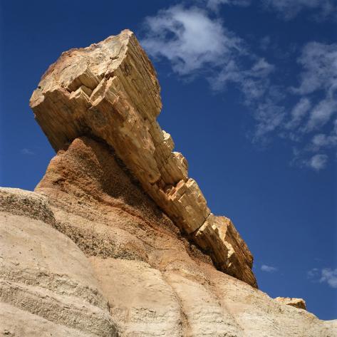 Photographic Print: Petrified Forest in Arizona, United States of America, North America by Tony Gervis: 16x16in