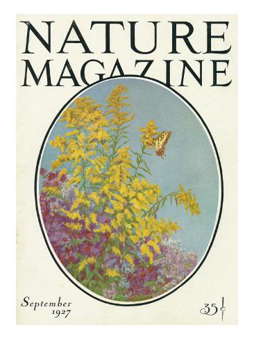 Art Print: Nature Magazine - View of Blooming Flowers and a Butterfly, c.1927 by Lantern Press: 24x18in