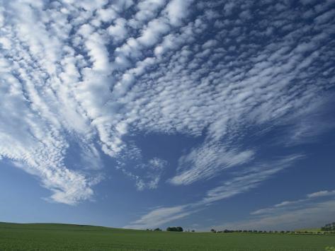 Photographic Print: Near Eynsford in the Darent Valley, North Downs, Near Sevenoaks, Kent, England, UK by David Hughes: 24x18in