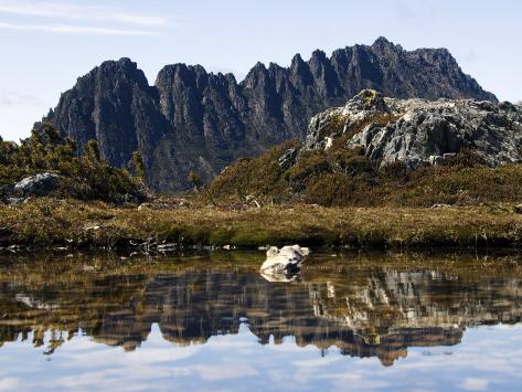 Photographic Print: Reflected in Tarn on 'Cradle Mountain - Lake St Clair National Park', Tasmania, Australia by Christian Kober: 24x18in