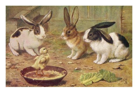Giclee Print: Three Domestic Rabbits Look Suspiciously at a Fluffy Yellow Chick: 24x18in