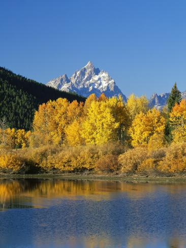 Photographic Print: Usa, Wyoming, Grand Teton National Park Poster by Jeff Foott: 24x18in