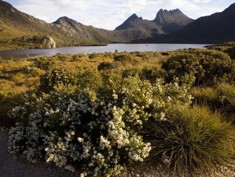 Photographic Print: Dove Lake and Cradle Mountain Poster by Andrew Bain: 24x18in