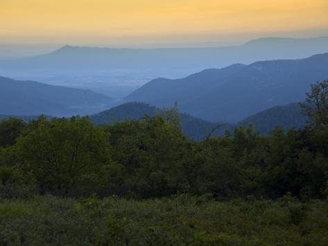 Photographic Print: Looking Out over Forest-Covered Mountains in Evening Light by Mark Newman: 24x18in