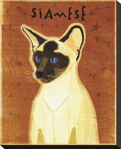 Stretched Canvas Print: Siamese by John Golden: 15x12in