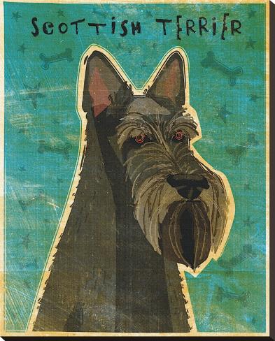 Stretched Canvas Print: Scottish Terrier by John Golden: 35x28in