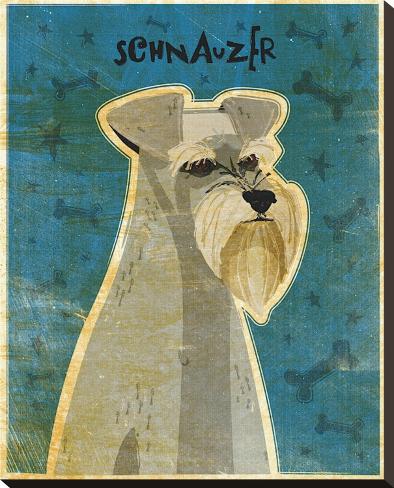 Stretched Canvas Print: Schnauzer by John Golden: 25x20in