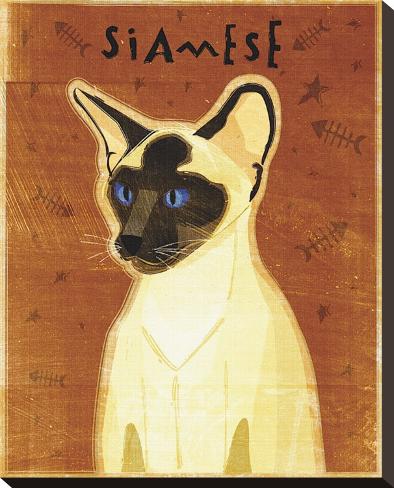 Stretched Canvas Print: Siamese by John Golden: 20x16in