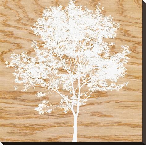 Stretched Canvas Print: Snowy Tree by Erin Clark: 20x20in