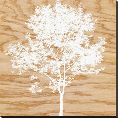 Stretched Canvas Print: Snowy Tree by Erin Clark: 30x30in