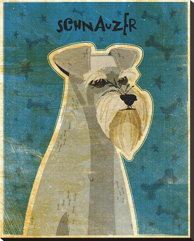 Stretched Canvas Print: Schnauzer by John Golden: 35x28in