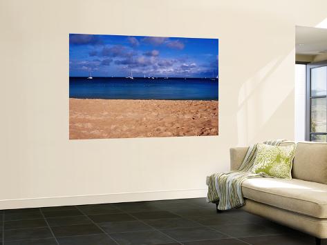 Wall Mural: Reduit Beach and Yachts on Rodney Bay Wall Decal by Richard l'Anson: 72x48in