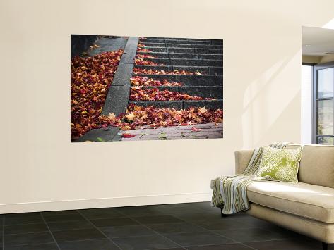 Wall Mural: Steps and Autumn Leaves, Jishou Temple Wall Decal by Shayne Hill: 72x48in