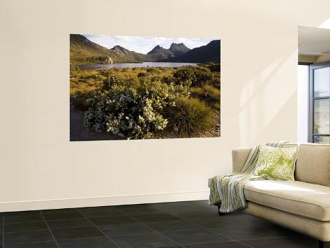 Wall Mural: Dove Lake and Cradle Mountain Wall Decal by Andrew Bain: 72x48in