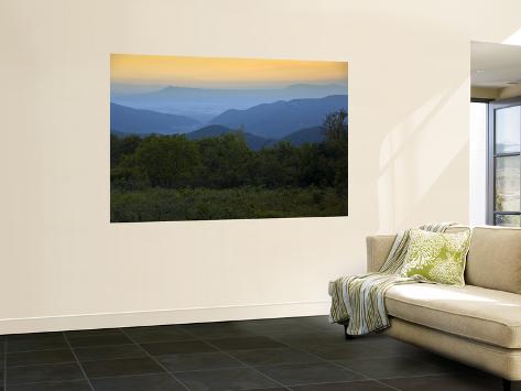 Wall Mural: Looking Out over Forest-Covered Mountains in Evening Light by Mark Newman: 72x48in