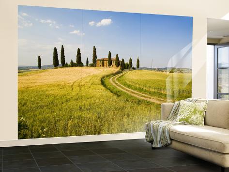 Wall Mural - Large: Tuscan Villa Nearing Harvest, Tuscany, Italy by Terry Eggers: 144x96in