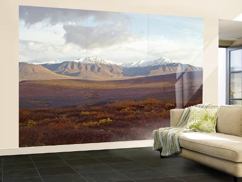 Wall Mural - Large: Wyoming Hills Across Tundra in Denali National Park and Preserve, Alaska, USA by Bernard Friel: 144x96in