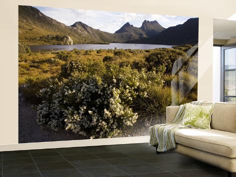 Wall Mural - Large: Dove Lake and Cradle Mountain Wall Sticker by Andrew Bain: 144x96in