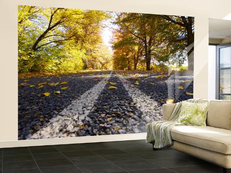 Wall Mural - Large: Autumn Leaves on Old Federal Highway Wall Sticker by Oliver Strewe: 144x96in