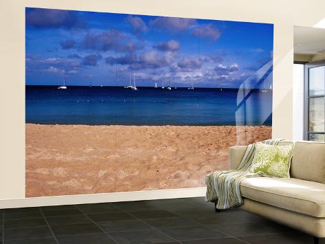 Wall Mural - Large: Reduit Beach and Yachts on Rodney Bay Wall Sticker by Richard l'Anson: 144x96in