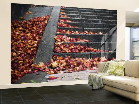 Wall Mural - Large: Steps and Autumn Leaves, Jishou Temple Wall Sticker by Shayne Hill: 144x96in