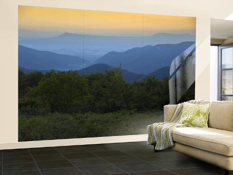 Wall Mural - Large: Looking Out over Forest-Covered Mountains in Evening Light by Mark Newman: 144x96in