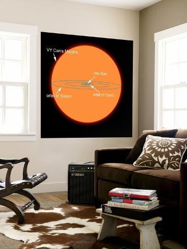 Wall Mural: A Diagram Comparing the Sun to VY Canis Majoris by Stocktrek Images: 48x48in