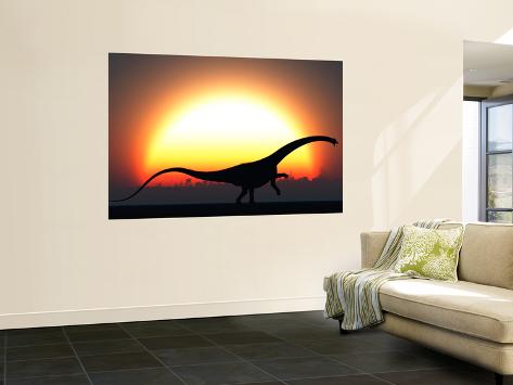 Wall Mural: A Silhouetted Diplodocus Dinosaur Takes at the Start of a Prehistoric Day by Stocktrek Images: 72x48in