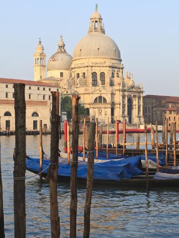 Photographic Print: Santa Maria Della Salute, Venice, UNESCO World Heritage Site, Veneto, Italy, Europe by Amanda Hall: 24x18in