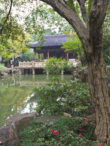 Photographic Print: Yu Yuan Gardens, Shanghai Poster by Amanda Hall: 24x18in