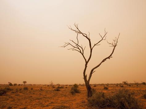 Photographic Print: Outback Dust Storm Turns Sky Orange with Red Sand, Broken Hill, New South Wales, Australia by Paul Souders: 24x18in