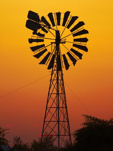 Photographic Print: Windmill at Sunset, Fitzroy Crossing Poster by David Wall: 24x18in