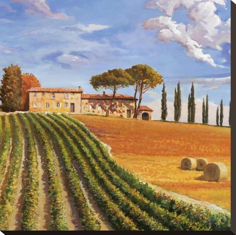 Stretched Canvas Print: Colline toscane (detail) by Adriano Galasso: 24x24in