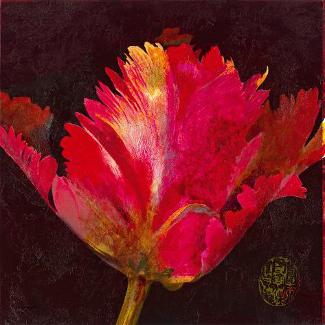 Giclee Print: Hana III by Douglas: 24x24in