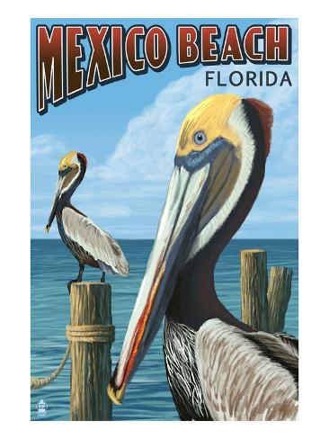 Art Print: Mexico Beach, Florida - Brown Pelicans Art Print by Lantern Press: 24x18in