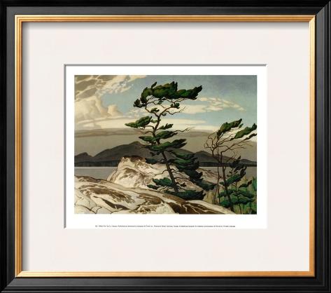 Framed Art Print: White Pine by A.J. Casson: 16x19in