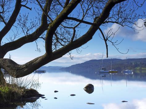 Photographic Print: Sunrise, Ambleside, Lake Windermere, Lake District National Park, Cumbria, England, UK, Europe by Jeremy Lightfoot: 24x18in