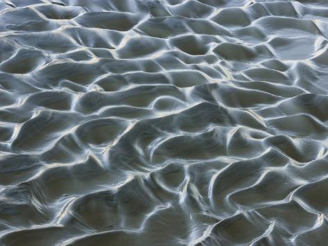 Photographic Print: Oceanic by Art Wolfe: 12x9in
