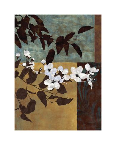 Giclee Print: Spring Blossoms I by Keith Mallett: 20x16in