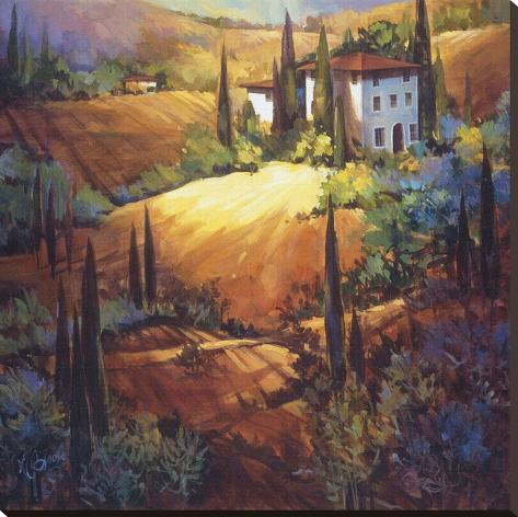 Stretched Canvas Print: Morning Light Tuscany by Nancy O'toole: 36x36in