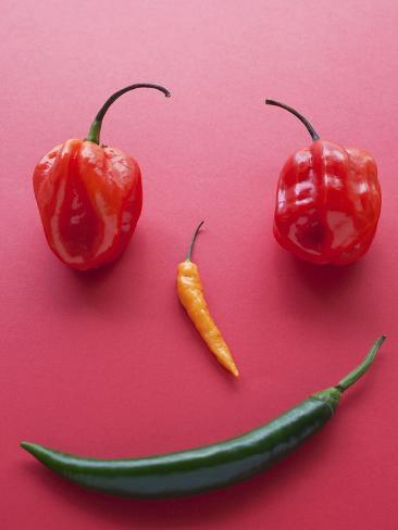 Photographic Print: A Face Made of Chilli Peppers Poster by Malgorzata Stepien: 24x18in