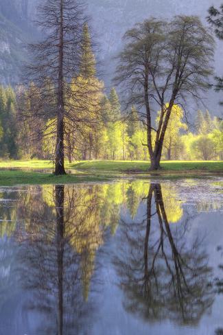 Photographic Print: Valley Reflections at Yosemite Poster by Vincent James: 24x16in