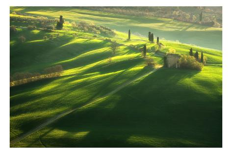 Photographic Print: Among the Cypresses Poster by Marcin Sobas: 24x16in