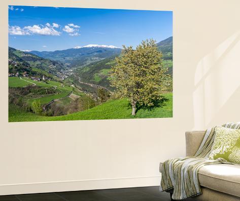 Giant Art Print: Eisack Valley Near Klausen and the Brenner Pass, South Tyrol, Italy by Martin Zwick: 72x48in