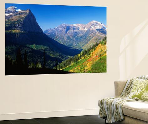 Giant Art Print: Autumn Near Logan Pass, Glacier National Park, Montana, USA by Adam Jones: 72x48in